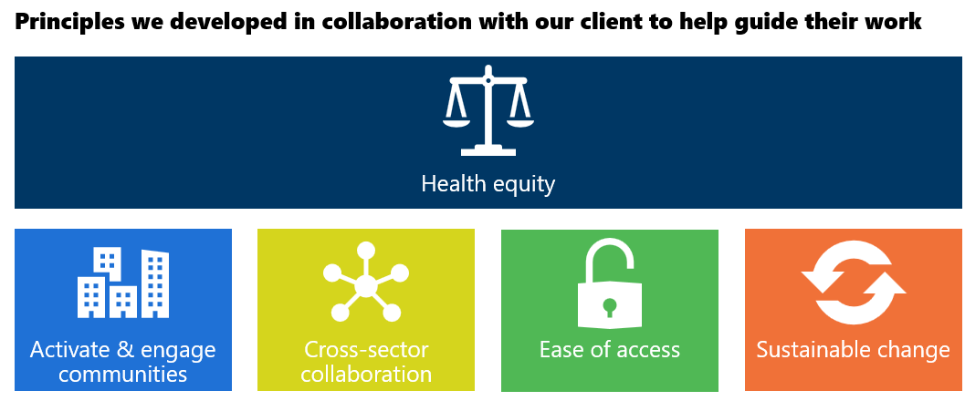 Chart of principles developed during Principles-Focused Evaluation